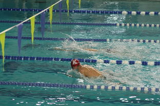 华体会体育在线登录-世界青少年游泳接力赛中国代表团表现优异,游泳接力赛名单