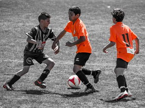 华体会真人-中国足球场上移动方向数据建模,足球场上的数学建模