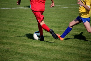 华体会网页登录入口-世界男子排球联赛意大利主场折桂，意大利男子排球联赛直播